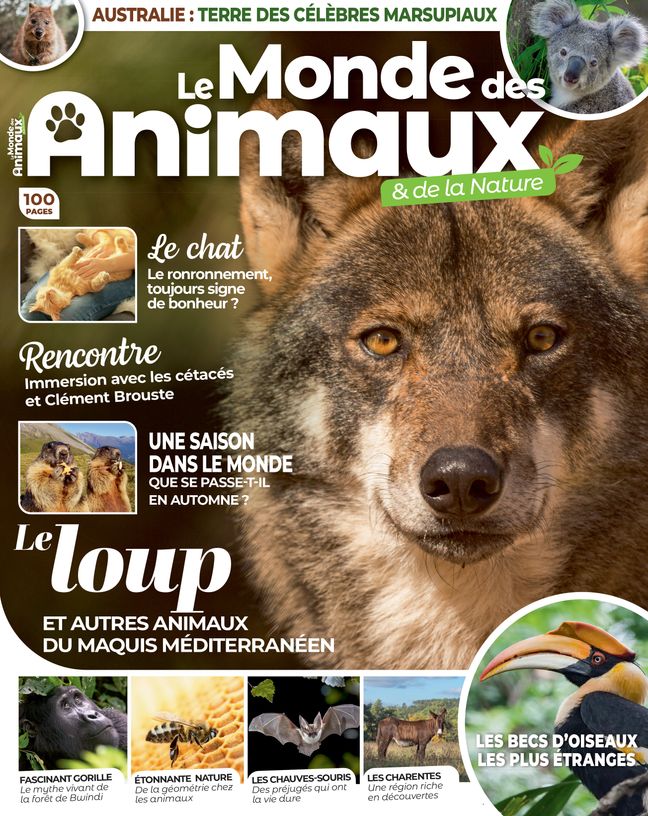 The World of Animals & Nature is a quarterly magazine.